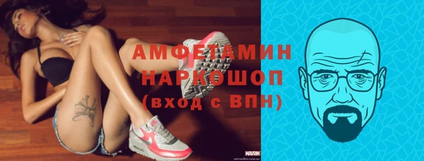 мет Алексин