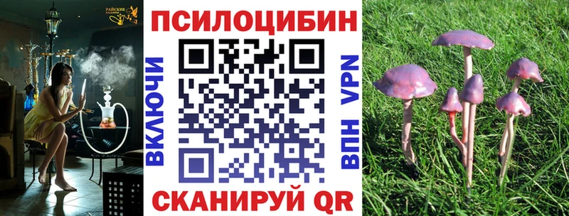 сколько стоит  Невьянск  Псилоцибиновые грибы прущие грибы 